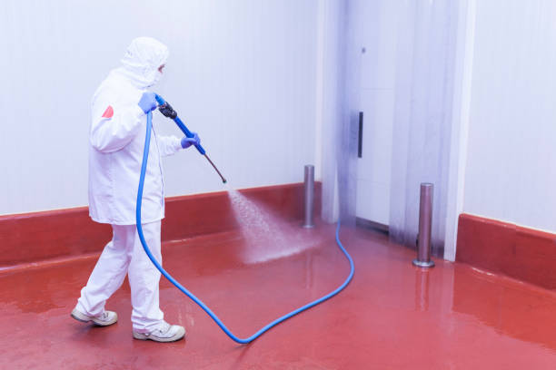 Boat and Dock Cleaning in Wyomissing, PA